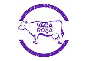 _0055_Logo7 - Roberto Carlos Valicheski